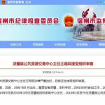 灵璧县招标采购网,项目动态与采购信息汇总”